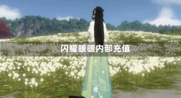 闪耀暖暖内部充值