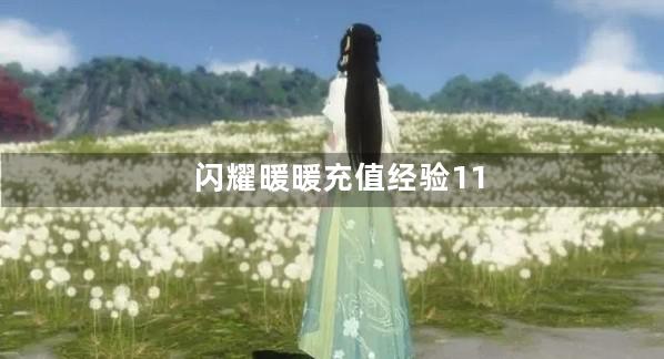 闪耀暖暖充值经验11级是多少钱