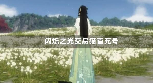 闪烁之光交易猫首充号是真吗