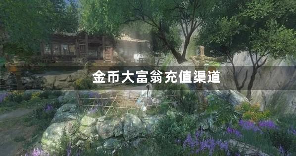 金币大富翁充值渠道