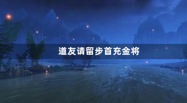 道友请留步首充金将