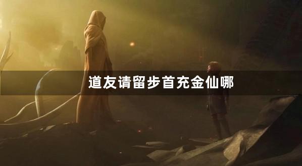 道友请留步首充金仙哪个好