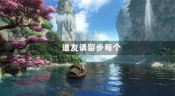 道友请留步每个