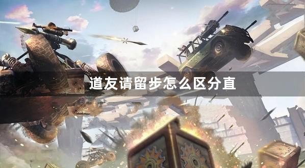 道友请留步怎么区分直充和折扣端