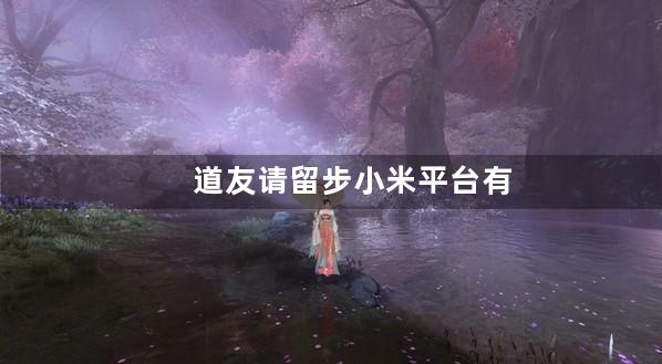 道友请留步小米平台有折扣吗