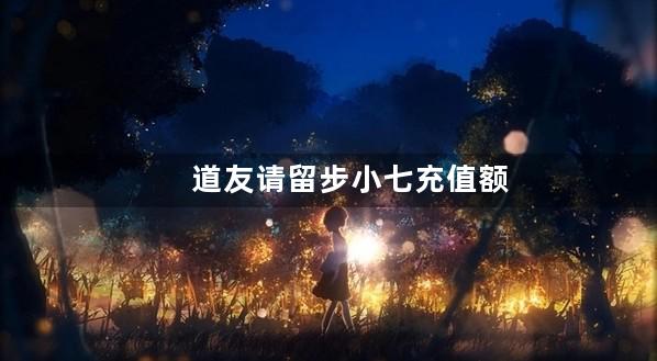 道友请留步小七充值额度