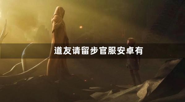 道友请留步官服安卓有折扣吗