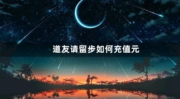 道友请留步如何充值元宝