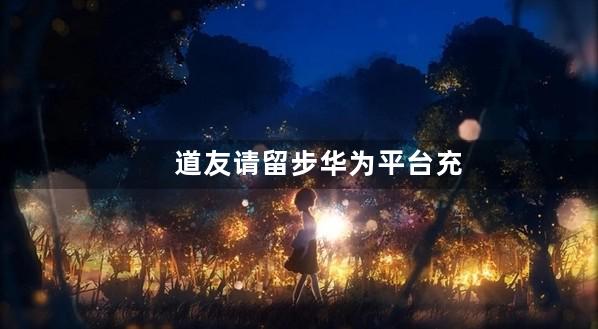 道友请留步华为平台充值限额