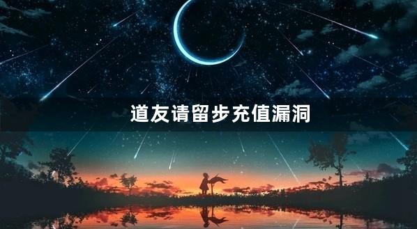 道友请留步充值漏洞