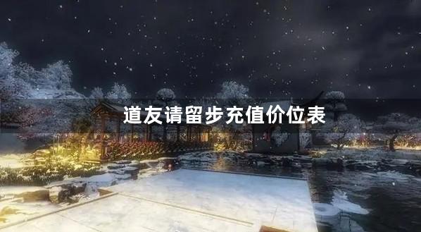 道友请留步充值价位表
