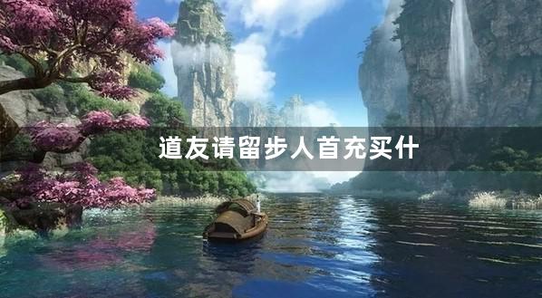 道友请留步人首充买什么元神