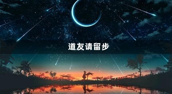 道友请留步