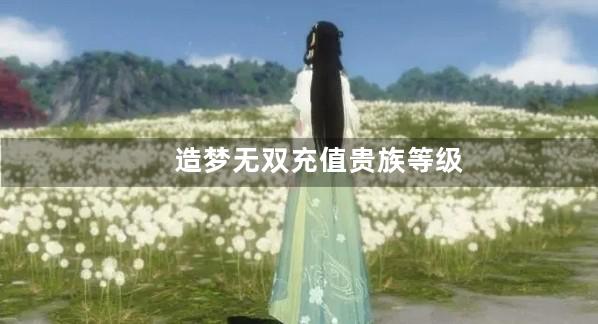 造梦无双充值贵族等级