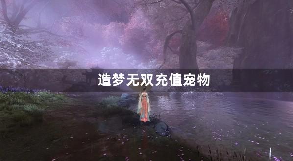 造梦无双充值宠物